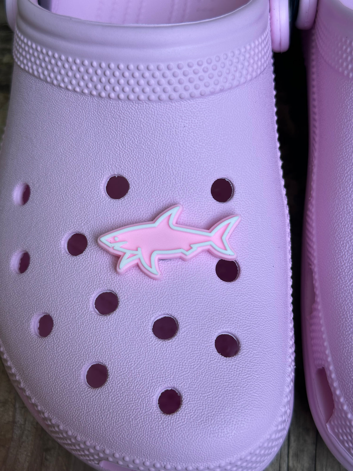Charm requin🦈