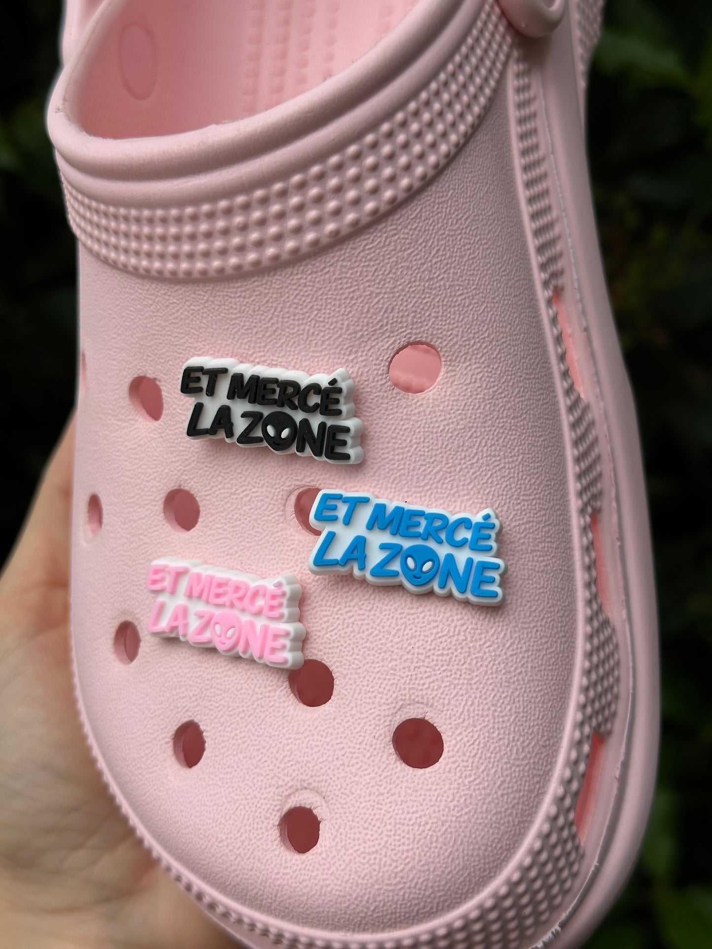 Charme et mercé la zone