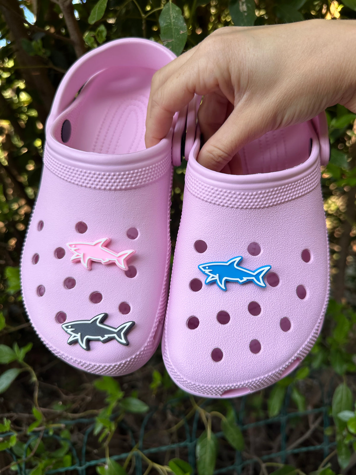 Charm requin🦈