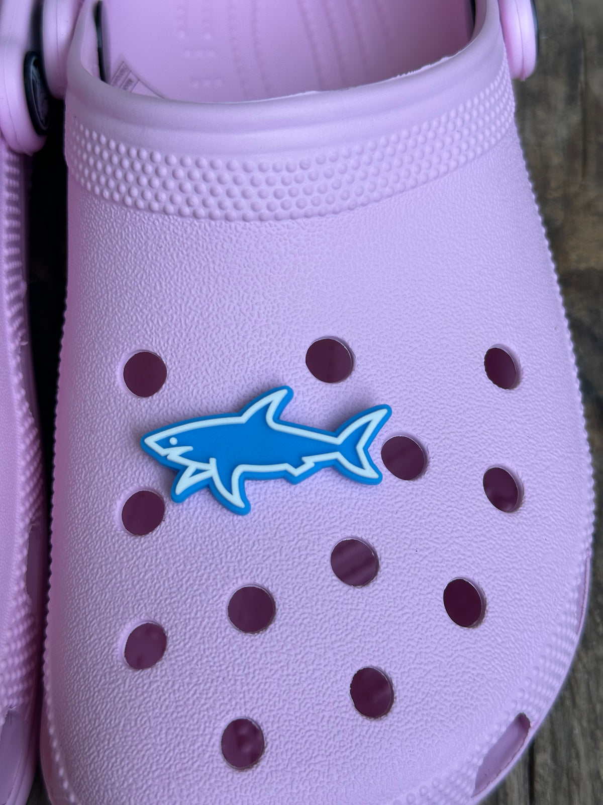 Charm requin🦈